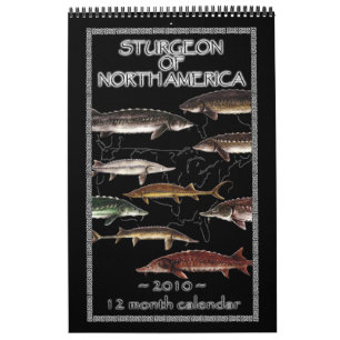 Esturjão do calendário de America do Norte 2010