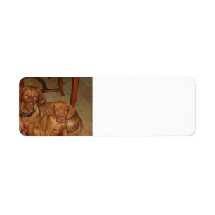 Etiqueta 2 vizslas