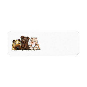 Etiqueta 3 chineses Shar Pei