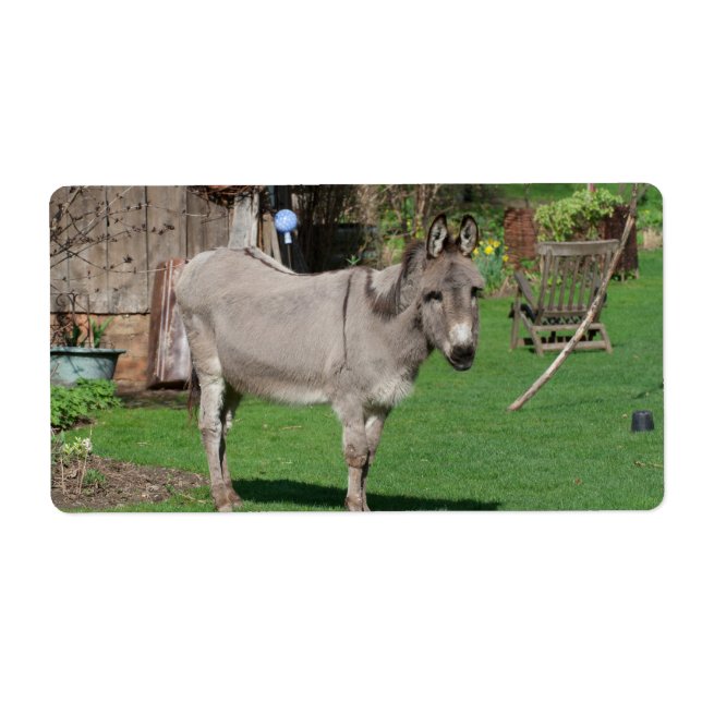 Etiqueta A Vida Rural Continua Com O Donkey (Frente)