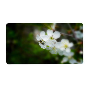 Etiqueta Abelha que senta-se em uma flor branca