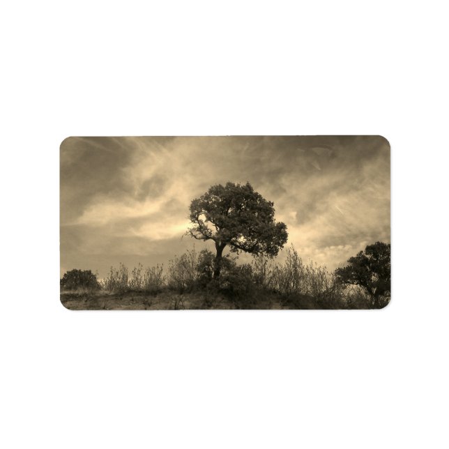 ETIQUETA ADDRESS LABELS ART AND DESIGN (Frente)