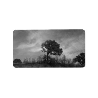 ETIQUETA ADDRESS LABELS ART AND DESIGN