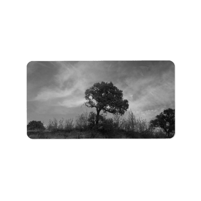 ETIQUETA ADDRESS LABELS ART AND DESIGN (Frente)