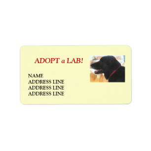 Etiqueta Adopção do cão do abrigo do laboratório - ende