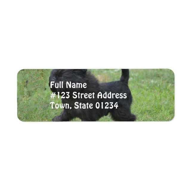 Etiqueta Affenpinscher (Frente)