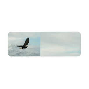 Etiqueta Águia americana & montanhas