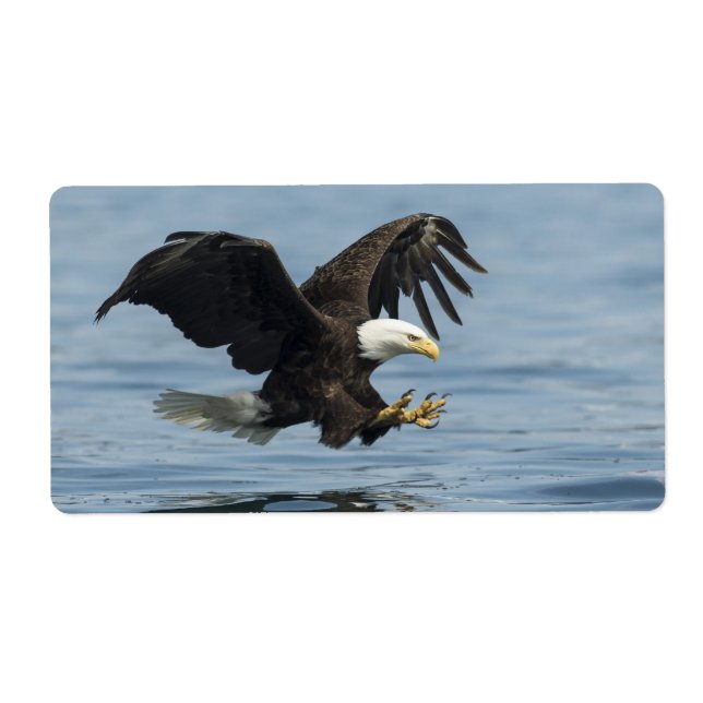 Etiqueta Águia na Abordagem (Frente)