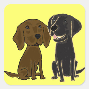 Etiqueta AJ do Retriever de Flatcoated