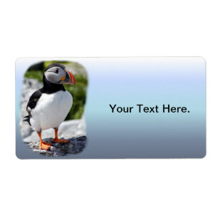 Etiqueta Alfinetes do Alasca Feathering Colorful Birds