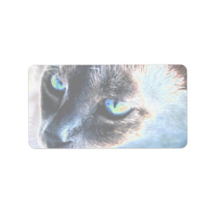 Etiqueta alterada arisco II do gato Siamese