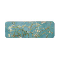 Amêndoa em flor por Vincent Van Gogh