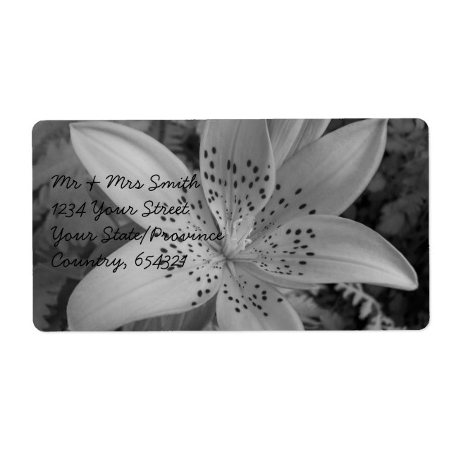 Etiqueta American Tiger Lily (Frente)