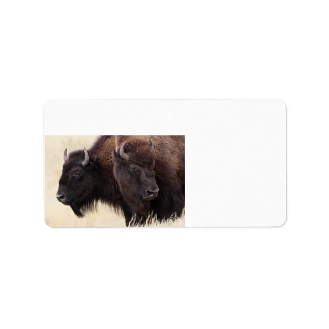 Etiqueta amizade bison (Frente)