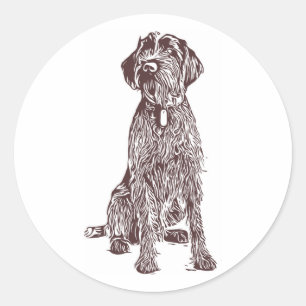 Etiqueta apontar Griffon Wirehaired