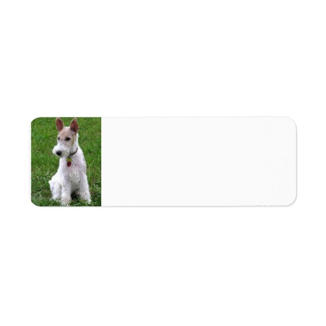 Etiqueta arame fox terrier sentado (Frente)