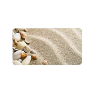 Etiqueta Areia com escudos e pedras. Composição da praia