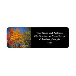 Etiqueta Árvores de outono Coloridas