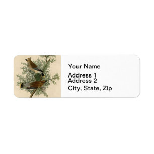 Etiqueta Audubon Cedar Waxwing Bird