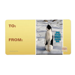 Etiqueta Aumentado por pinguins