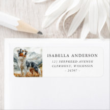 Australian Shepherd Merle Azul Aquarela