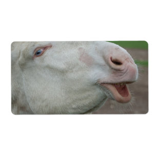 Etiqueta Áustria - Burro Branco Húngaro