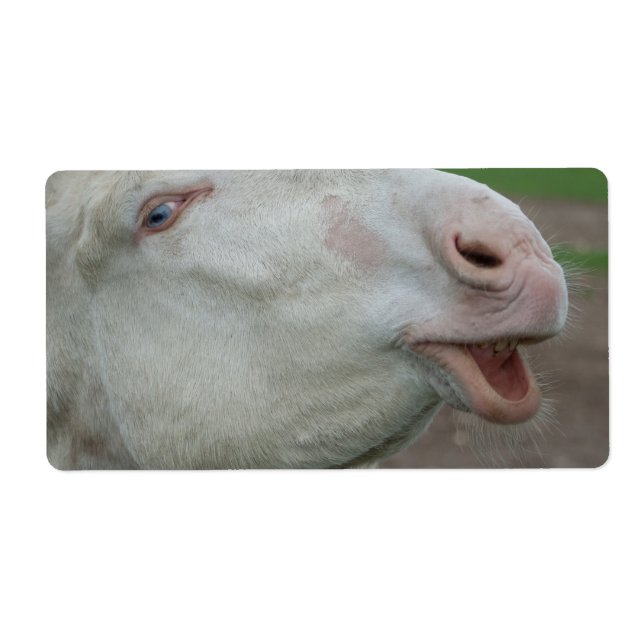 Etiqueta Áustria - Burro Branco Húngaro (Frente)