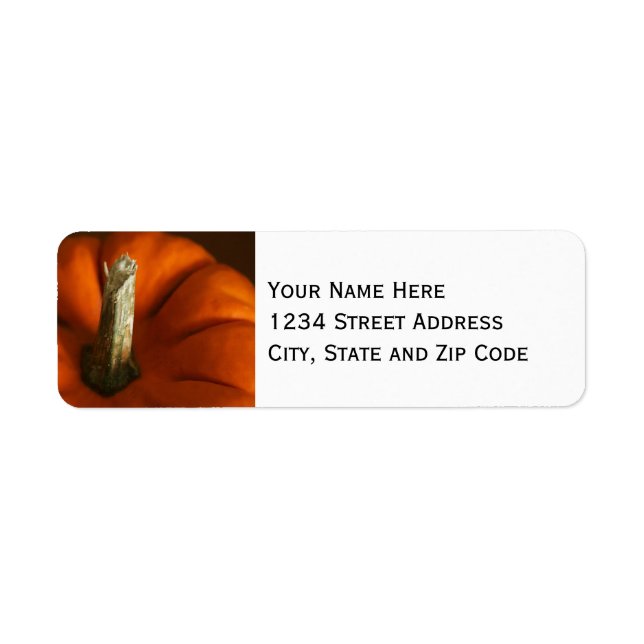 Etiqueta Autumn Pumpkin Foto (Frente)