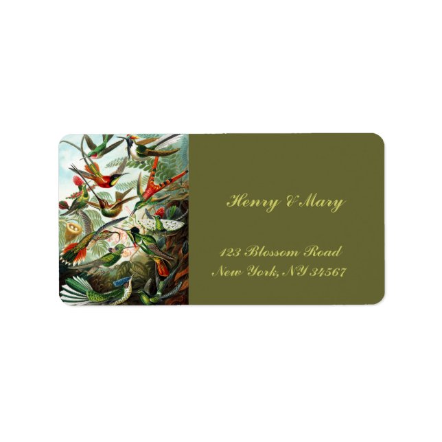 Etiqueta Aves-múmias por Ernst Haeckel (Frente)