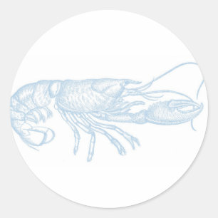 Etiqueta azul da lagosta