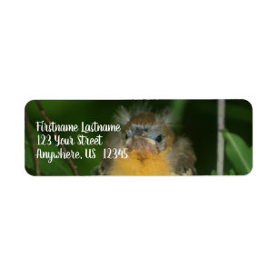Etiqueta Baby Oriole Frazões Bird Address