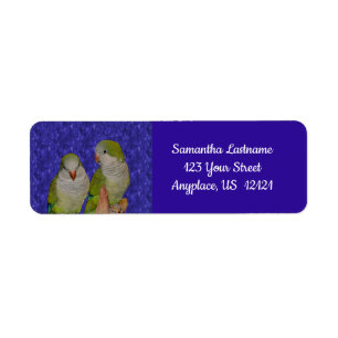 Etiqueta Baby Quaker Parrot Pair Animal 