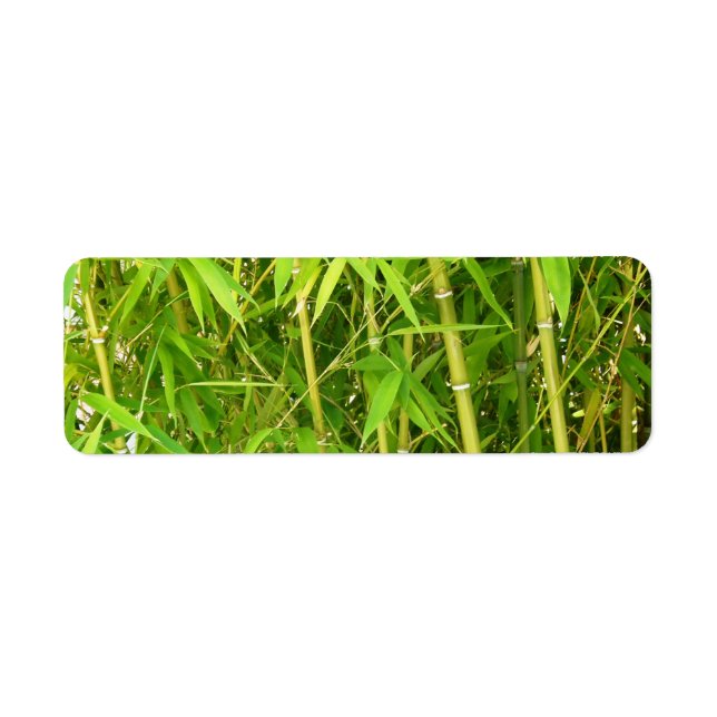Etiqueta Bambu (Frente)
