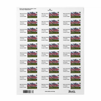 Etiqueta Bandeiras e cruzamentos americanos