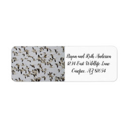 Etiqueta Bando de Gansos em Voo