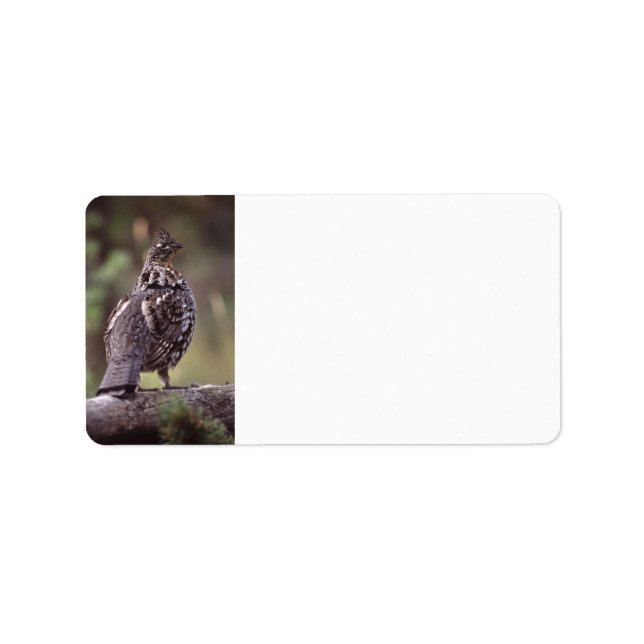 Etiqueta barro (Frente)