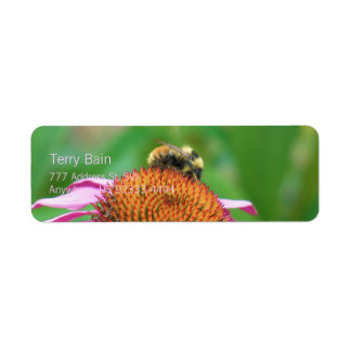 Etiqueta Bee Echinacea