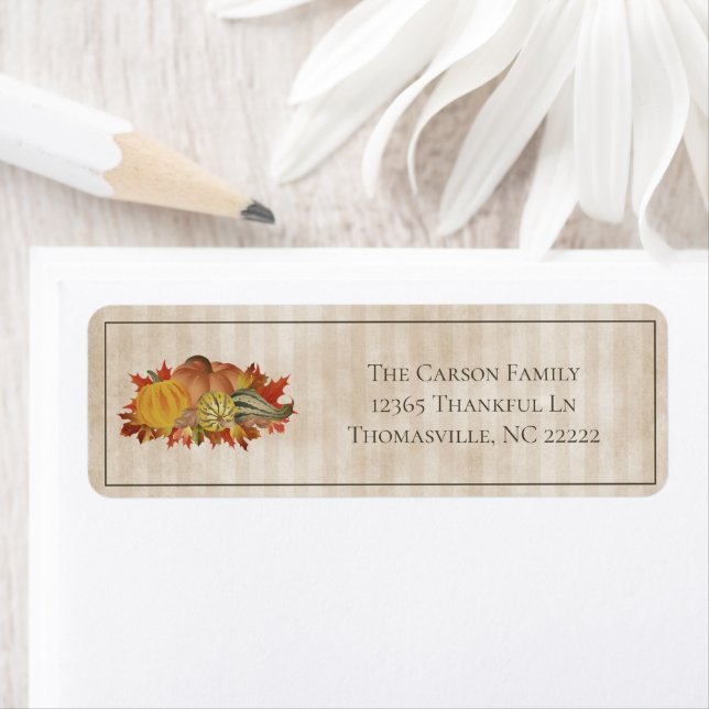 Etiqueta Beige Thankand Pumpkins e o Rótulo de Lâmpadas (Insitu)