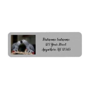 Etiqueta Beijo da Cinza africana Parrots Cute Bird Address