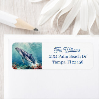 Etiqueta Bela Ilustração de Baleia com Impasto Oceânico