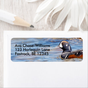 Etiqueta Belo Duque Harlequin na Rock