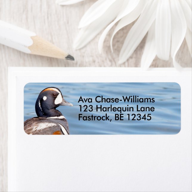 Etiqueta Belo Duque Harlequin na Rock (Insitu)