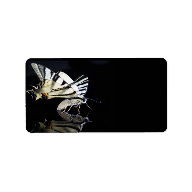 Etiqueta Belo rótulo da borboleta (Frente)