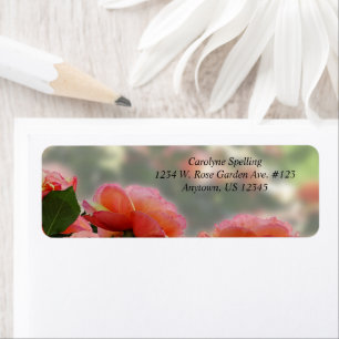 Etiqueta Belos Rosas de Peach