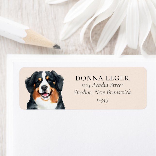 Etiqueta Bernese Mountain Dog Endereço Personalizado (Insitu)