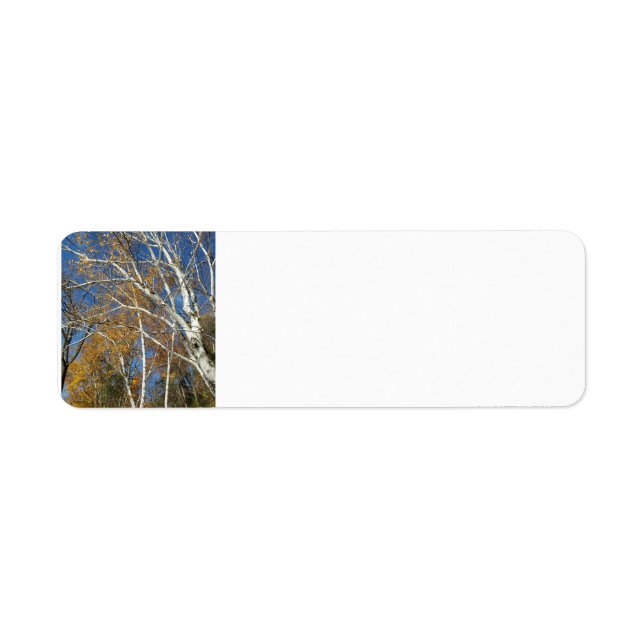 Etiqueta Birch (Frente)