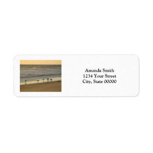 Etiqueta Birds Beach Sunrise Personalize Endereço de Devol