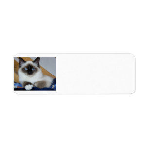 Etiqueta birman 2.png