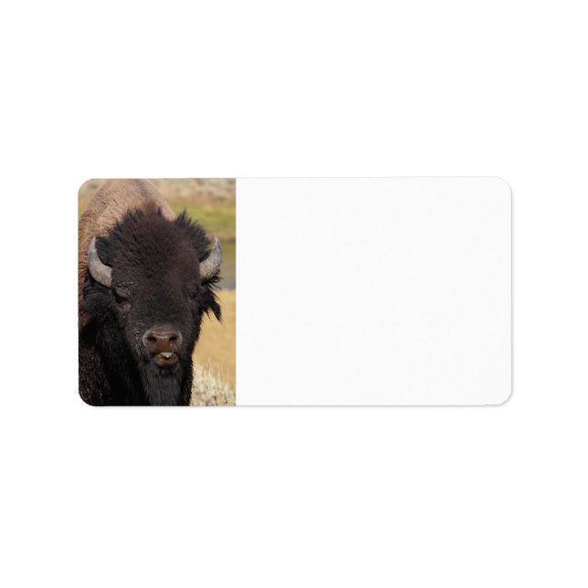 Etiqueta bisão engraçada (Frente)