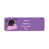 Black and Tan Chihuahua Puppy